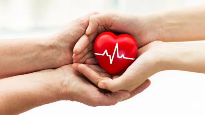 Bursa organ bağışında Türkiye ortalamasını 3'e katladı