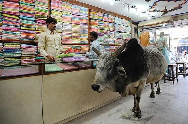 Hindistan'da inek kestiği iddia edilen Müslüman linç edildi