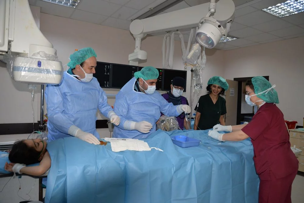 Minik kalpler Uludağ Üniversitesi'nde tedavi edilecek