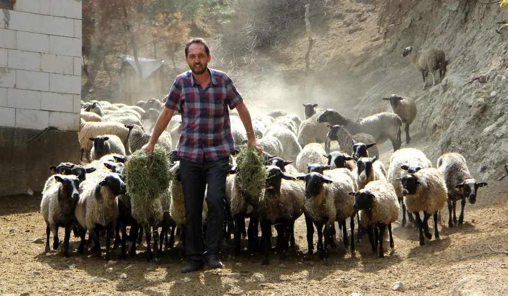 Köye dönenlere 300 koyun projesine olumlu tepkiler