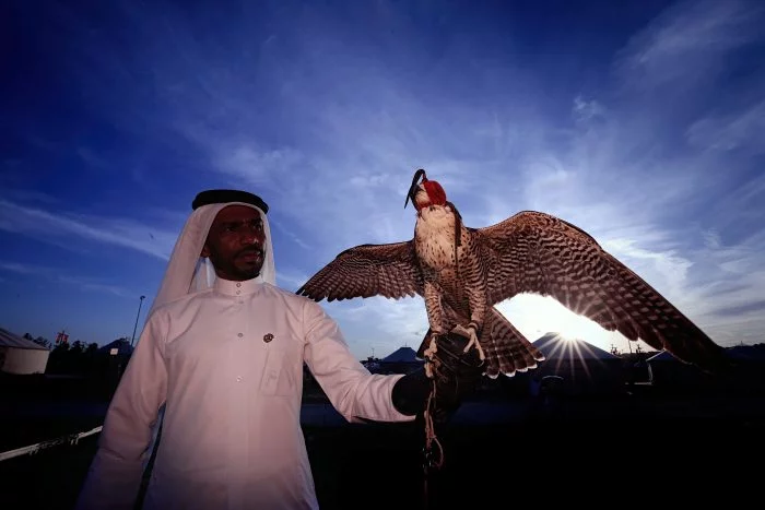 Katar'ın kanat çırpan çocukları: Şahinler