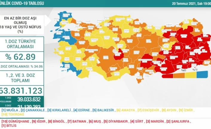 20 Temmuz Türkiye'de koronavirüs tablosu
