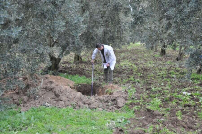 Define avcıları İznik'te ortaya çıktı