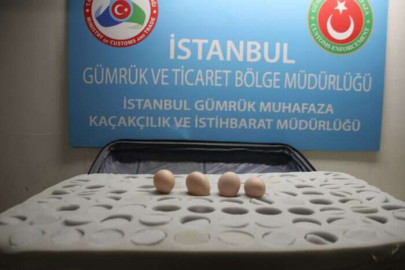 Atatürk Havalimanı'nda 802 ejderha yumurtası ele geçirildi