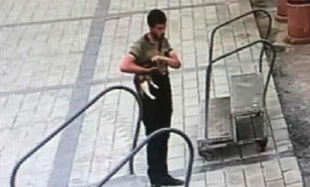 Kediyi denize atmıştı! O zanlıyla ilgili flaş gelişme