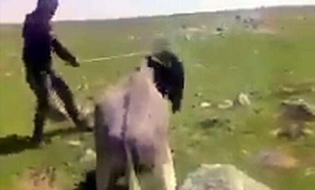 İşkenceci çobanın cezası belli oldu!