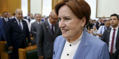 Meral Akşener taburcu edildi