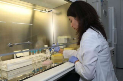 Bilim kurgu senaryosu değil, kök hücre tedavisi