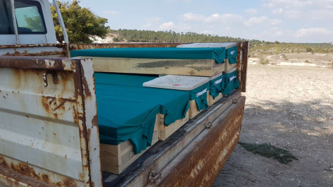 Köy mezarlığındaki kabirler dualarla taşınıyor