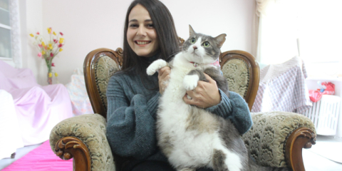 Bu kedi başka kedi! Tam 14 kilo...