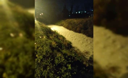 Bursa'da Karsak deresi beyaza büründü, belediye başkanı çileden çıktı!