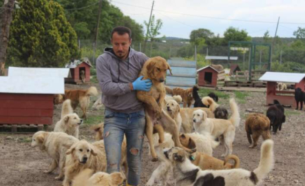 Bursa'da sokak hayvanlarının kahramanı oldu