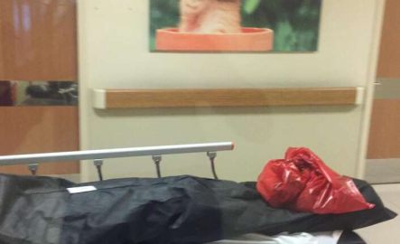 Bursa'da otomobilin çarptığı 12 yaşındaki çocuk hayatını kaybetti!