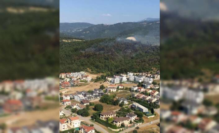 Bursa'daki orman yangını kontrol altına alındı!