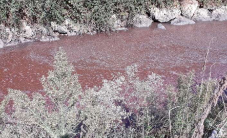 Bursa'da Kocasu Deresi'nde çevre felaketi!