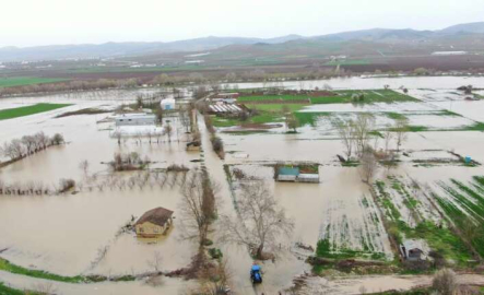 Tarlaları su bastı zarar 15 milyon!