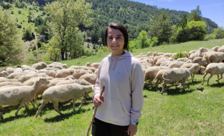 Koyunlarını otlatarak Avrupa Şampiyonası'na hazırlanıyor