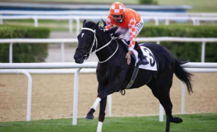 95. Gazi Koşusu’nu Burgas kazandı