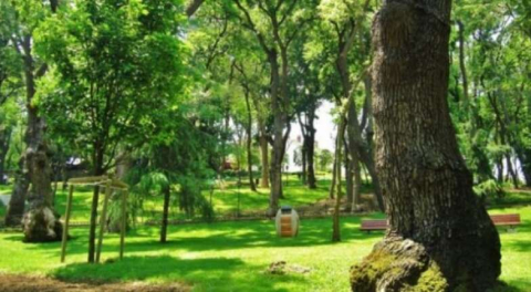 Kırklareli Vize'de C Tipi Mesire Alanı kiraya verilecek