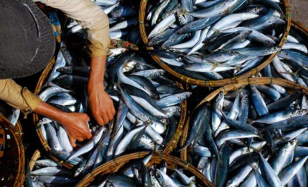 Kepez Belediyesi Balık Pazarı'ndaki dükkanları kiraya veriyor