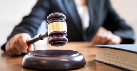 Yargıtay'dan emsal eşek kararı