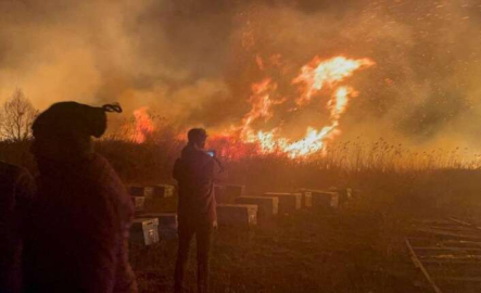 Bursa'da otluk alanda çıkan yangın lodosun etkisiyle büyümeye devam ediyor