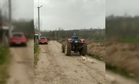Bursa’da av tüfeği ile vurduğu köpeği traktörüyle sürükledi