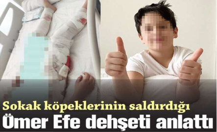 Sokak köpeklerinin saldırdığı  Ömer Efe dehşeti anlattı