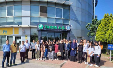 Liselilere sebze halinde eğitim