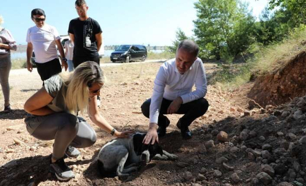 İnegöl Belediyesi'nden can dostlarımıza yaşam alanı!