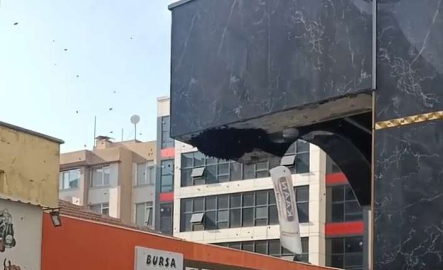 Kraliçe arıyı takip eden binlerce arı sokağı istila etti!