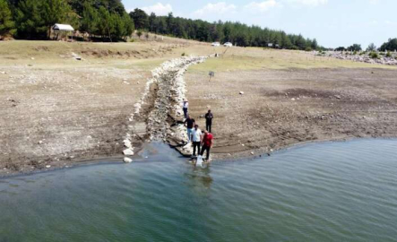Bursa’da 10 bin yavru sazan balığı suyla buluştu