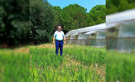 BUÜ’de damla sulama yöntemi ile çeltik üretimi başladı