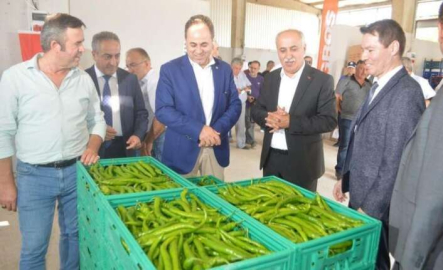 Üretken belediyecilik bilimin gündeminde