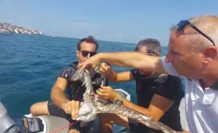 Boğulmak üzereydi, deniz polisi kurtardı