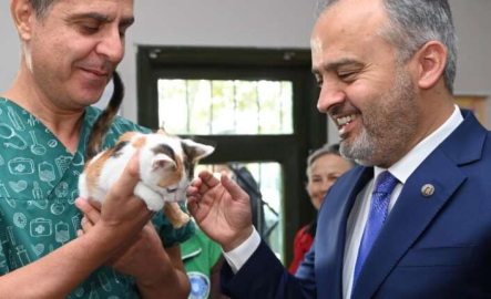 Başkan Aktaş, 4 aylık kediyi sahiplendi