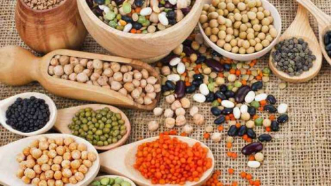 Gıda ürünleri satın alınacaktır