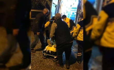 Yenişehir'de başlayan kavga İznik'te kanlı bitti