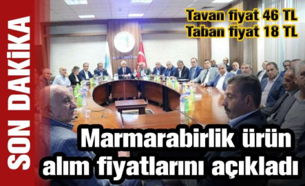 Marmarabirlik ürün alım fiyatlarını açıkladı