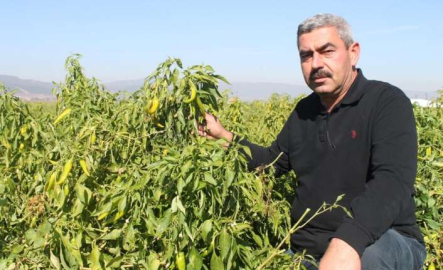 Türkiye’de ilk kez Bursa’da denendi, işçi maliyetleri yüzde 90 düştü