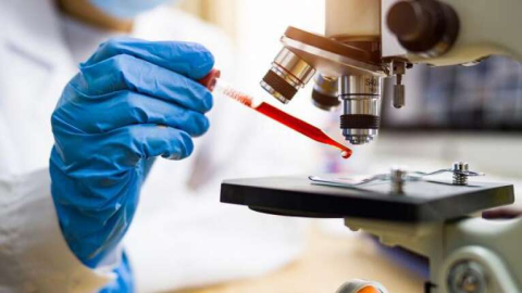 48 bin 500 yıllık virüs canlandırıldı: Bulaşabilir