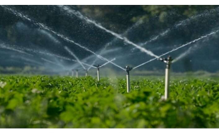 Sulama tesisi yaptırılacak