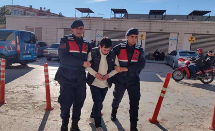 Köpekleri av tüfeği ile vuran şahıs tutuklandı