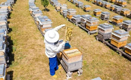 İnegöl Belediyesi 250 adet arı kovanı dağıtacak