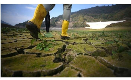 Dünyada su krizi tehlikesi