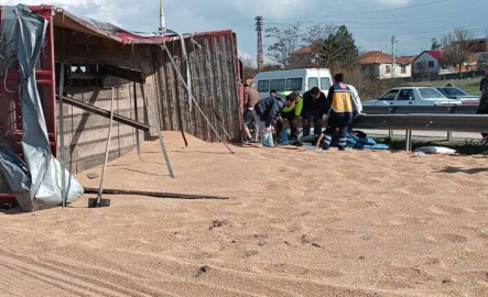 Buğday yüklü kamyon devrildi: 2 yaralı