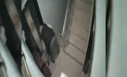 Bursa'da ayakkabı hırsızı kamerada