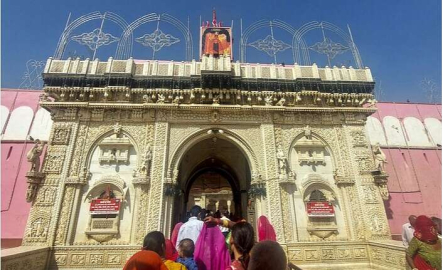 Hindistan'da fare tapınağına yoğun ilgi