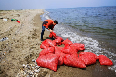 Avlanması yasak kum şırlanı ele geçirildi