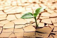 Yağışların artmasıyla ülke genelinde kuraklık riski azaldı